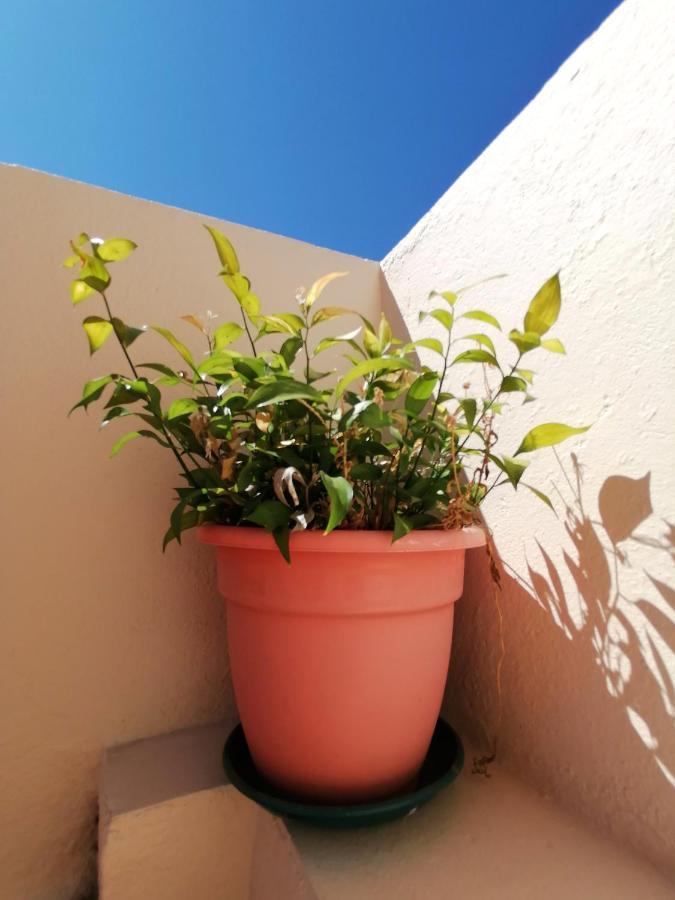 Apartamento Penha T3 Faro Bagian luar foto